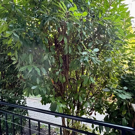 слънчево море 아파트 네세부르