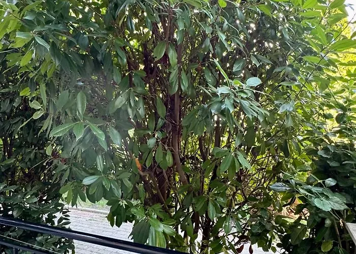 слънчево море Apartament Nesebyr